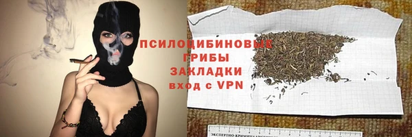 прущий лед Алзамай