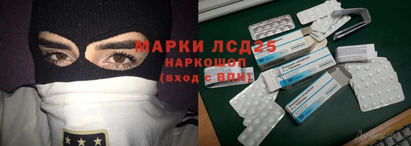 прущий лед Алзамай