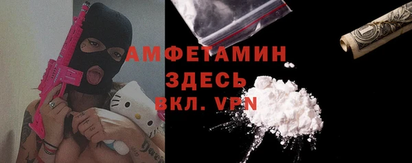 прущий лед Алзамай