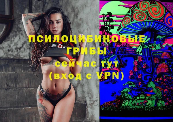 прущий лед Алзамай