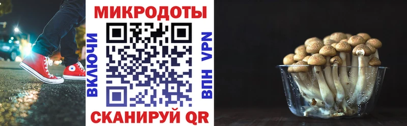 Псилоцибиновые грибы прущие грибы  Новоаннинский 